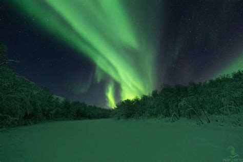 Tromsø: Northern Lights Trip with Campfire and Snacks | GetYourGuide