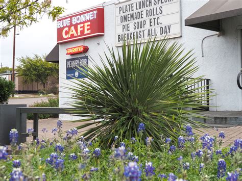 Blue Bonnet Cafe switches to takeout and curbside service only ...