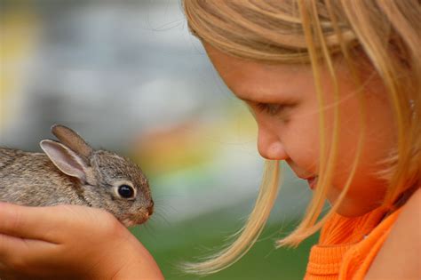 Top 5 Exotic Pets for Kids