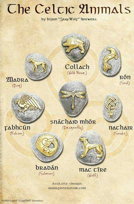 Celtic animals | Celtic animals, Celtic, Irish mythology