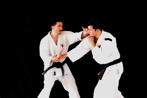 What is Shorinji kempo? - East London Shorinji Kempo - Practical ...