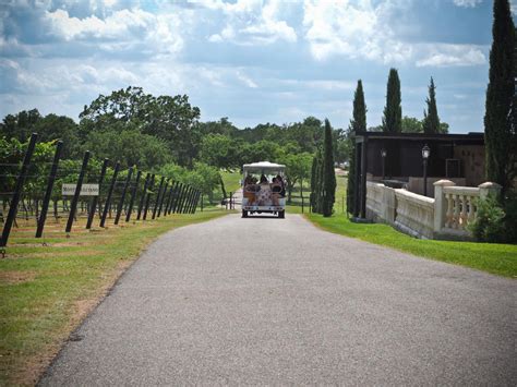 Wineries, Wine Tours In Fredericksburg, TX | Tours & Shuttles | Wine ...