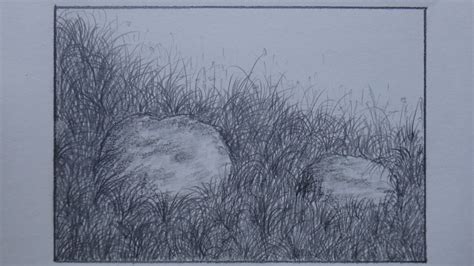 Tall Grass Drawing at GetDrawings | Free download