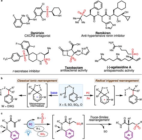 Valuable chiral sulfone-containing molecules and their construction a ...