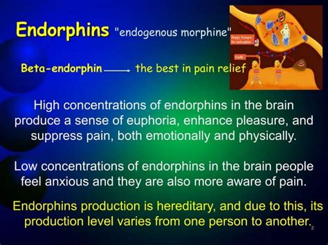 presentation on Endorphin hormone | PPT