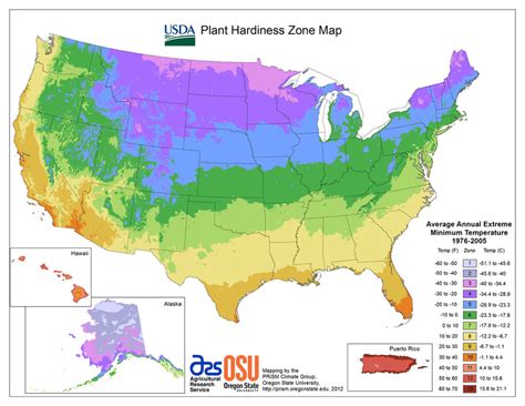 Spring Planting Guide Per Region | Petal Talk