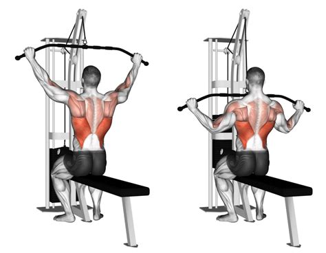 Master the Lat Pulldown: Target Your Back and Biceps Effectively ...