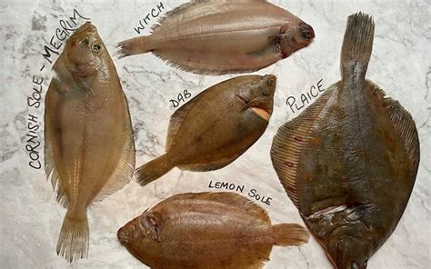 The flat fish guide: how to identify and cook these unloved species