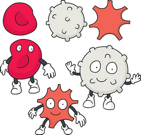 White Blood Cells Clip Art