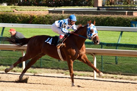 Secretariat: Disney makes the rare good family movie – Ebert Did It ...