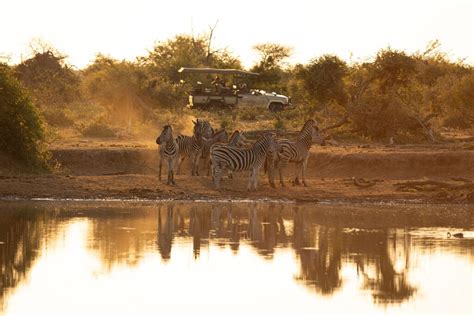 Rhulani Safari Lodge | Activities included in your stay