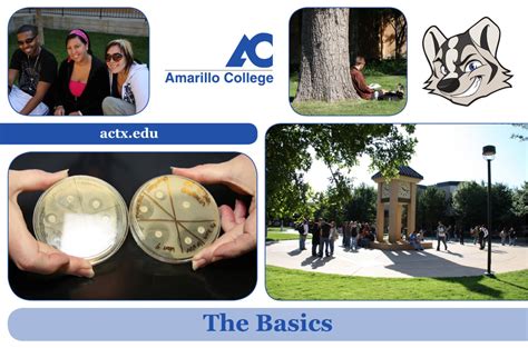 The Basics by Amarillo College - Issuu