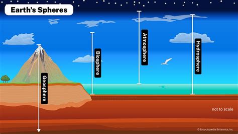 Biosphere | Definition, Resources, Cycles, Examples, & Facts | Britannica