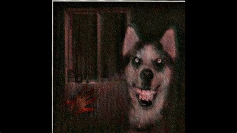 "Smile Dog" Creepypasta - YouTube