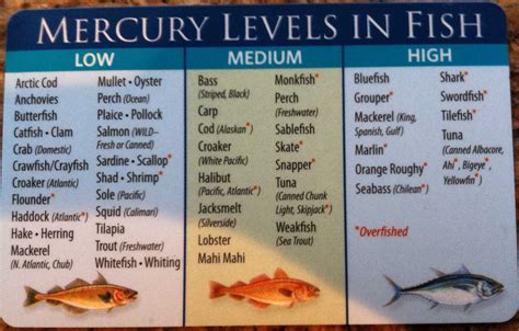 6 Overlooked Signs That Toxic Mercury is Accumulating in Your Fat Cells ...