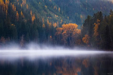 Echo Lake Forest Trees Fog Columbia Autumn 5k Wallpaper