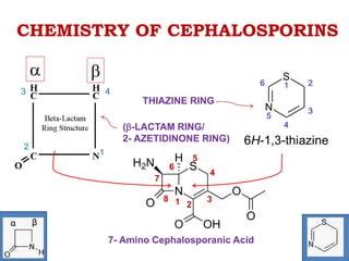 Cephalosporin- Beta lactam Antibiotic | PPT