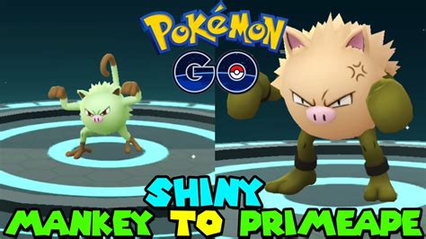 Evolving SHINY MANKEY to SHINY PRIMEAPE in Pokemon go - YouTube