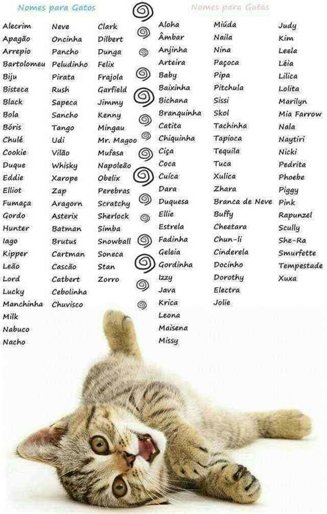 a cat laying on its back with the names of cats in it's paws