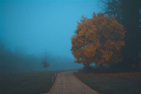 Blue Fog on Behance