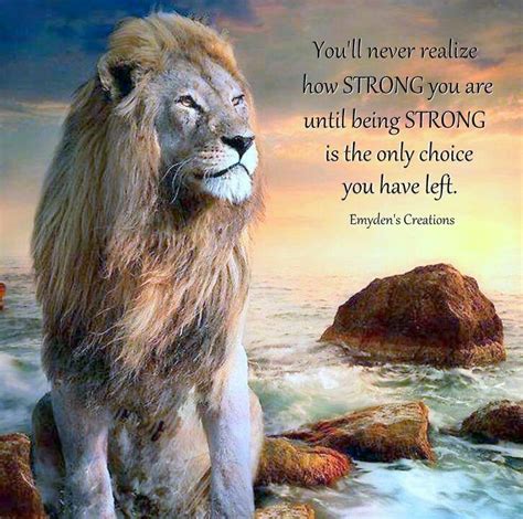 You Never Realize How Strong You Are Until Being Strong | Lion quotes ...