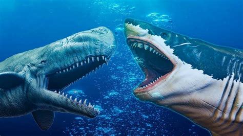 Livyatan melvillei vs megalodon | DinoAnimals.pl