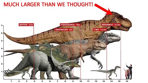 MEGA-SIZED T-REX (70% Larger than we previously thought!) - YouTube