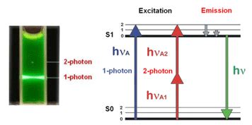 2-Photon Microscopy