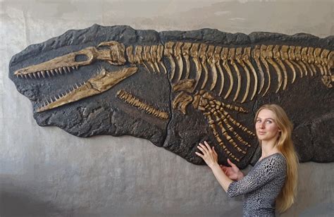 15 FT Long Embrace the Past With a Life-size Mosasaur Skeleton Fossil ...