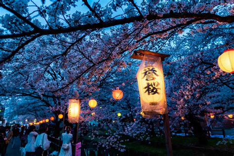 The 10 Most Beautiful Cherry Blossom (Sakura) Spots In Tokyo