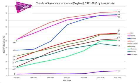 Pancreatic cancer survival rates now almost 8% | Pancreatic Cancer ...