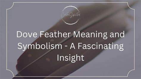 Dove Feather Meaning and Symbolism - A Fascinating Insight