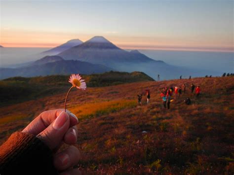 Tiffanikoe: Sensasi Sunrise di Gunung Prau