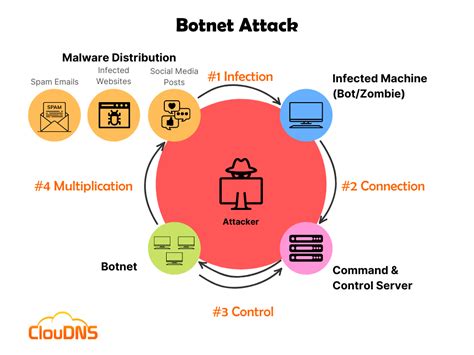 Botnet - what is it, and how does a Botnet attack work? - ClouDNS Blog