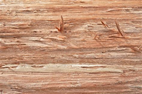 Three images of a cut log for wooden textures or wood backgrounds