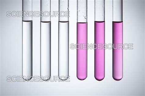 Photograph | Phenolphthalein indicator | Science Source Images