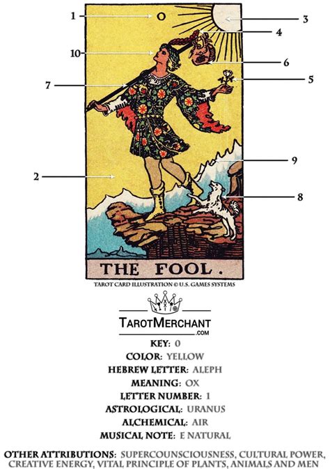 The Fool – Tarot Card Meaning with Video – TarotMerchant | Tarot card ...