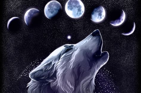 Galaxy Wolf Handy Hintergrundbilder Weitere ideen zu hintergrundbilder ...