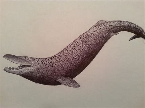 basilosaurus by spinosaurus1 on DeviantArt