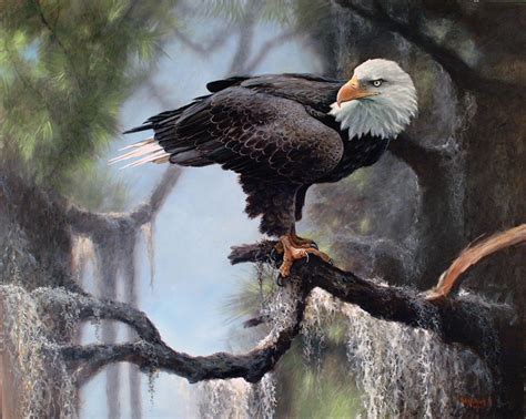 American Bald Eagle Painting by Ed Yanok