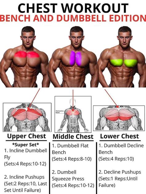 pecs - WeightEasyLoss.com - Fitness & Bodybuilding Lifestyle | Weight ...