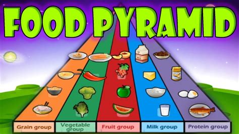 Nutrition, Food Pyramid, Healthy Eating, Educational Videos for Kids ...