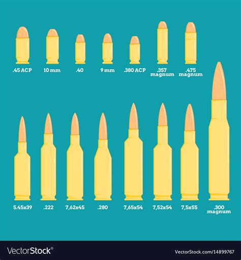 Different types of pistol and rifle bullets with Vector Image