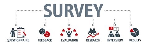 What is Primary Research? + [Methods & Examples]