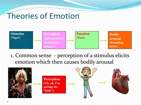 Theories Of Emotion Explained