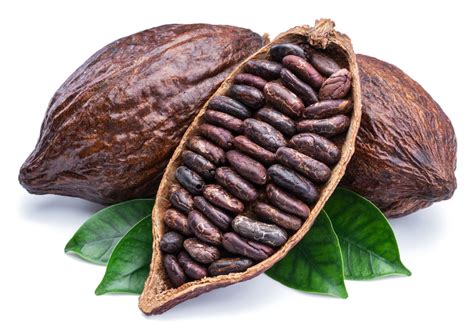 Ocho beneficios del cacao que no conocías