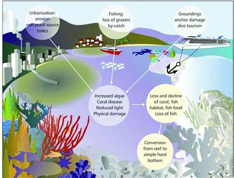 Ocean Coral Reef Biome