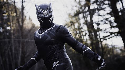 A BLACK PANTHER Cosplay Worthy of a King - Nerdist