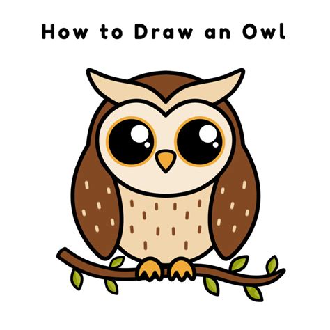 Cute Easy Owl Drawings