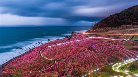 Rice terraces strung with lights, Wajima, Japan (© Sean Pavone/Alamy ...